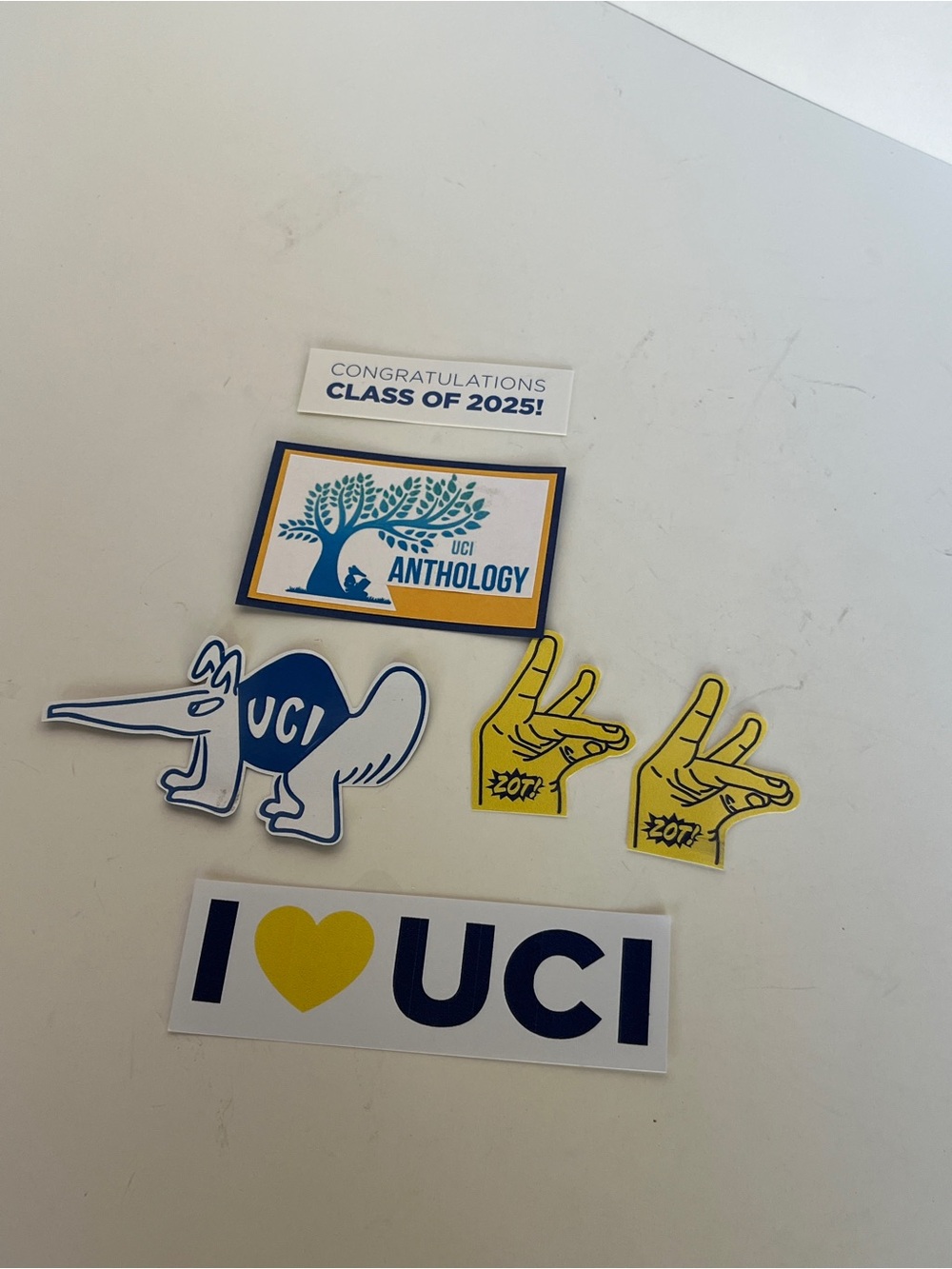 Hand Cut  University Of California Irvine Scrapbook Paper Craft Embellishment